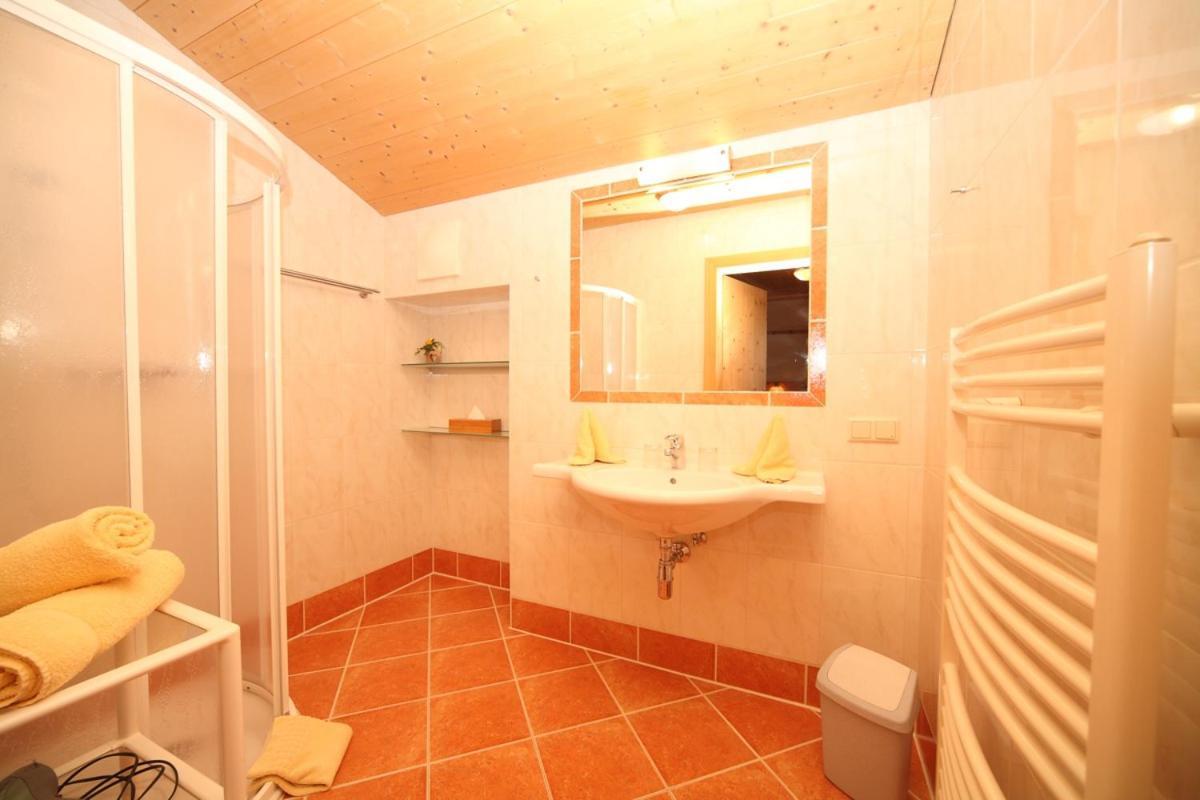 Apartment Steiner *