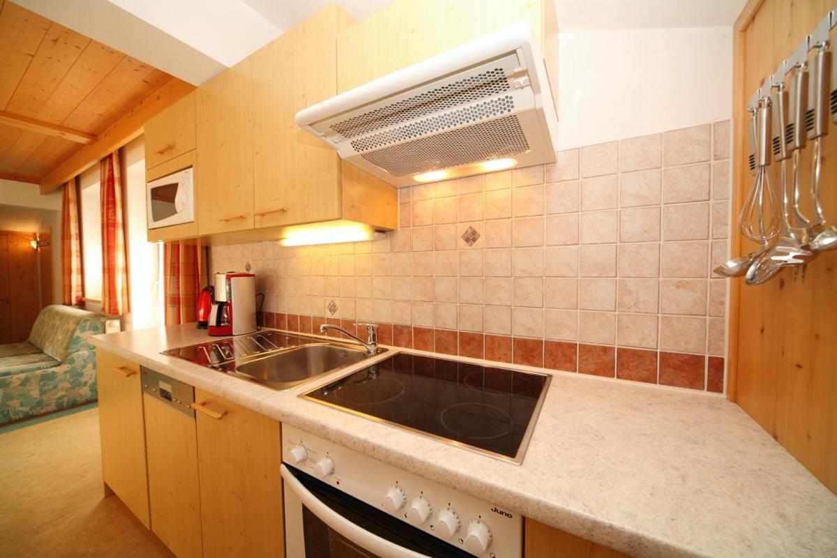 Apartment Steiner Schladming