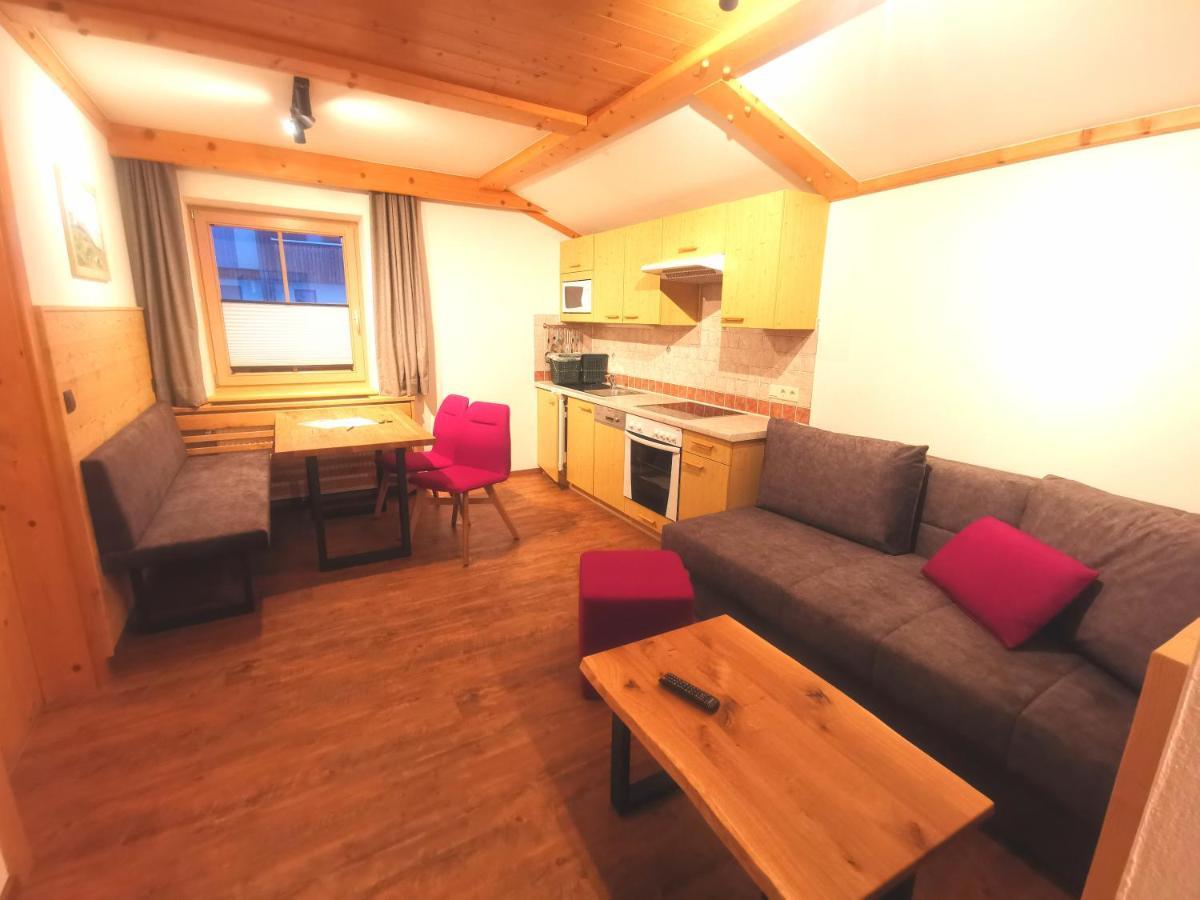 Steiner Apartment