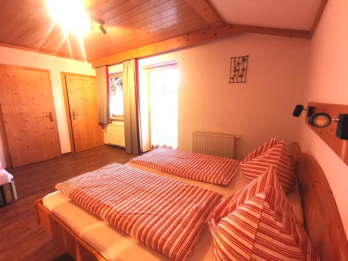 Apartment Steiner Schladming