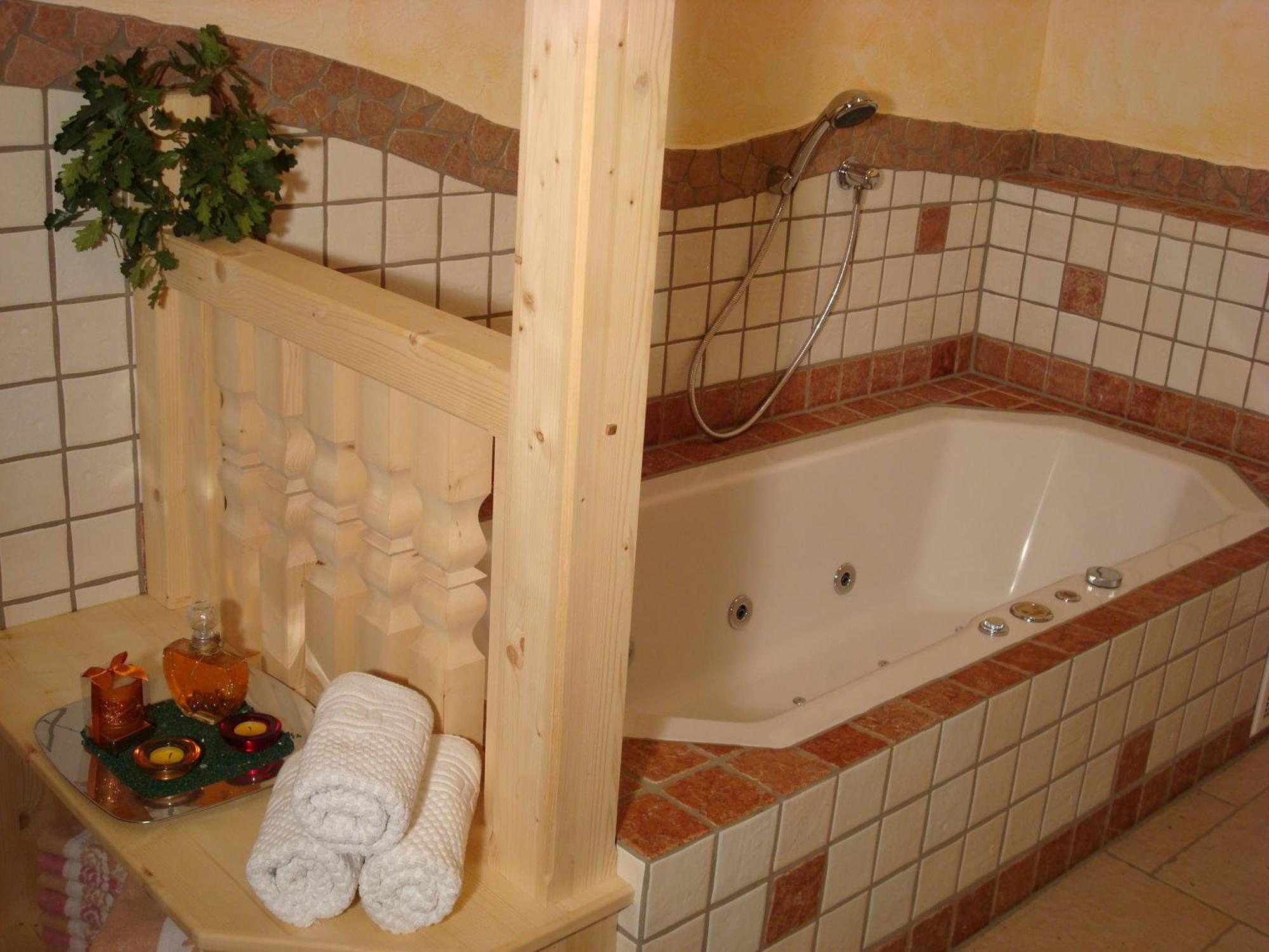 Apartment Steiner